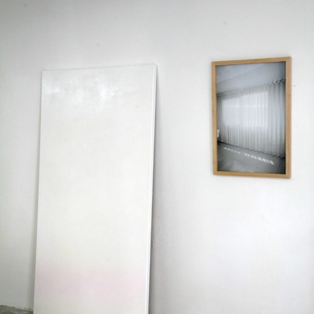 White while pink / Elina Salminen / 2015