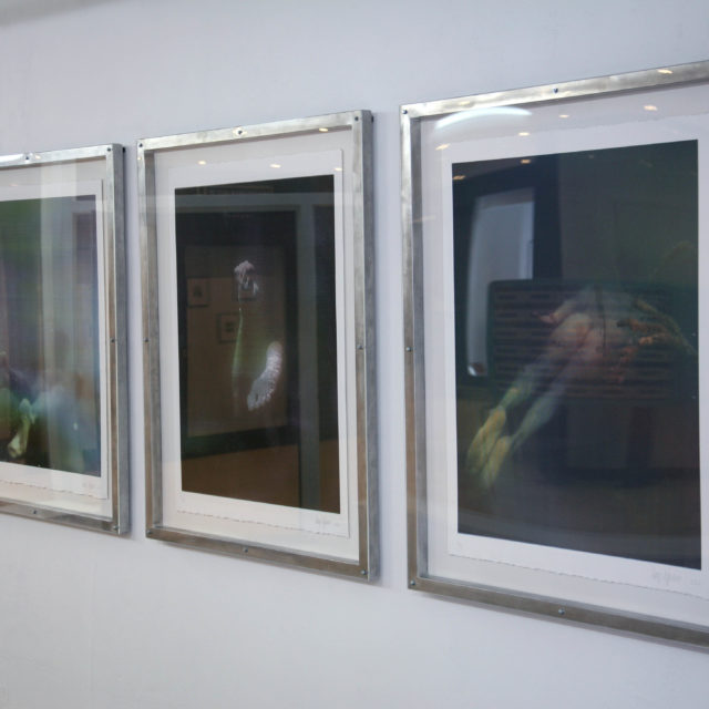 Plasma (triptych)/Loup Lejeune/2020-22