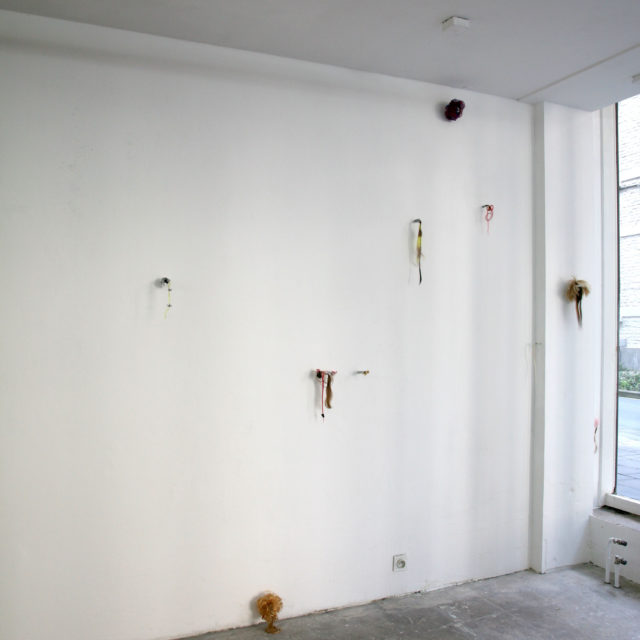 Plugs, Pores, Walls & Lures / Doris Boerman / 2023