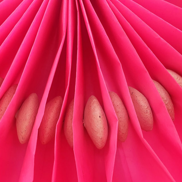 Fan / Maria Saygua André / 2025