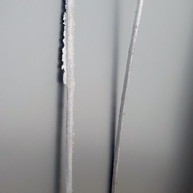 Ce que je garderai quand ils auront rempli mes dents creuses (1) & (2) / Prune Perris / 2025